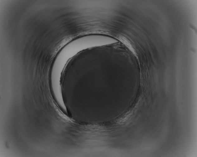 X0000092250389200710121303