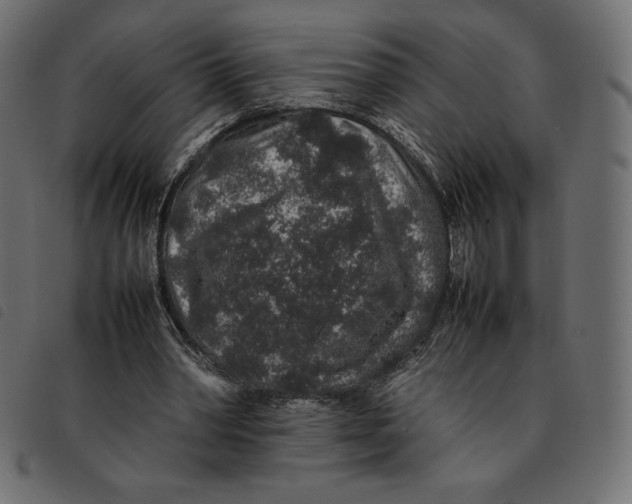 X0000092250390200710121303