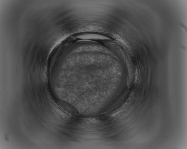 X0000092250392200710121303