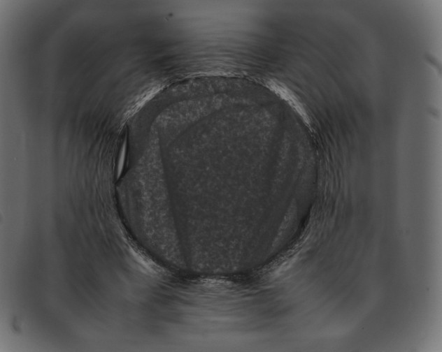 X0000092250393200710121303