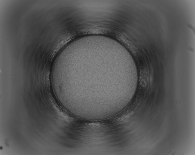 X0000092250394200710121303