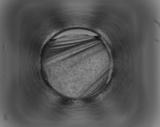 X0000092250395200710121303