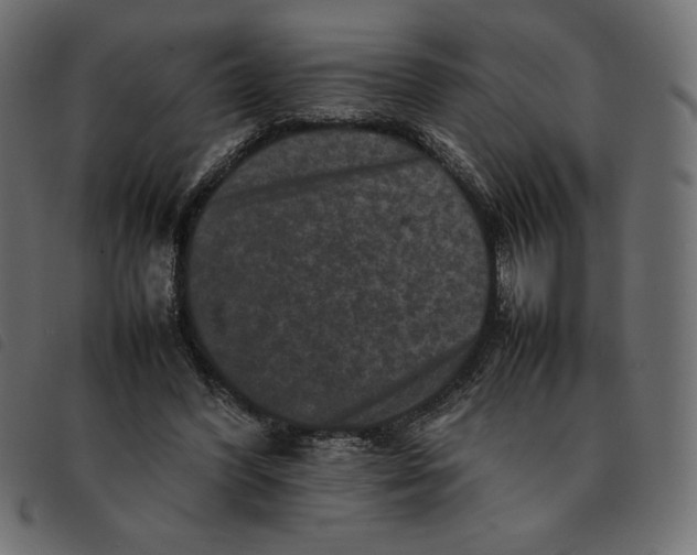 X0000092250396200710121303