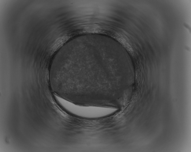 X0000092250397200710121303