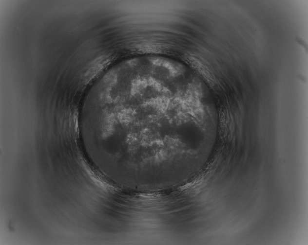 X0000092250398200710121303
