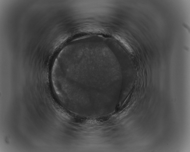 X0000092250399200710121303