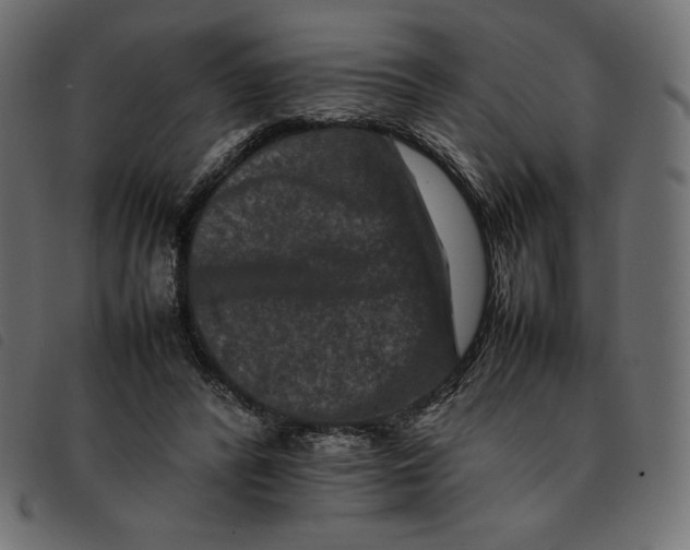 X0000092250400200710121303