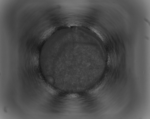 X0000092250402200710121303