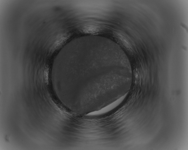 X0000092250404200710121303