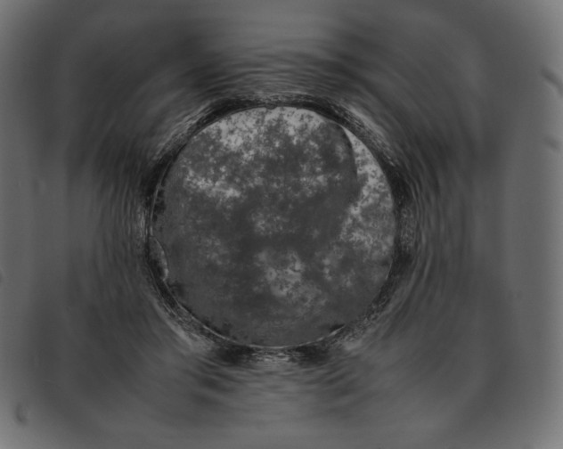 X0000092250405200710121303