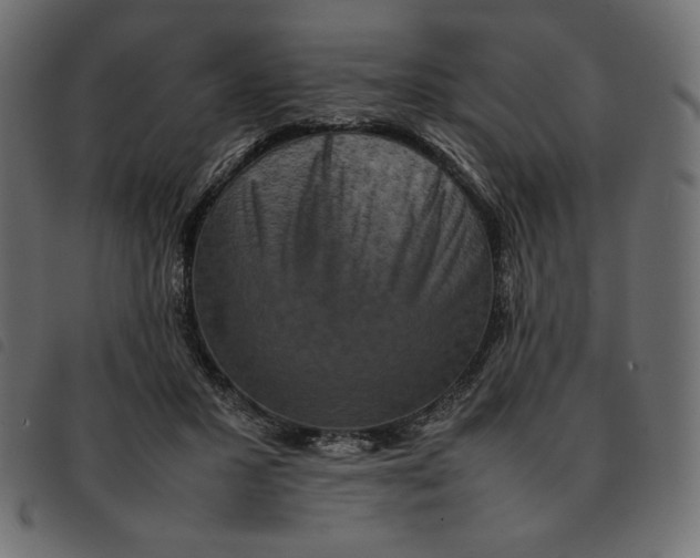 X0000092250407200710121303