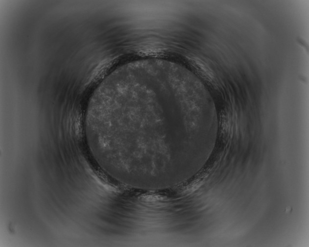 X0000092250408200710121303