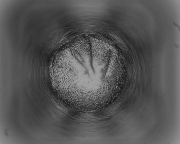 X0000092250409200710121303