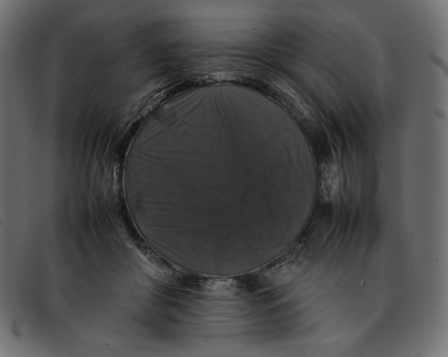 X0000092250410200710121303