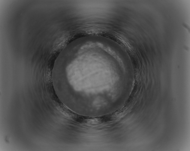 X0000092250411200710121303