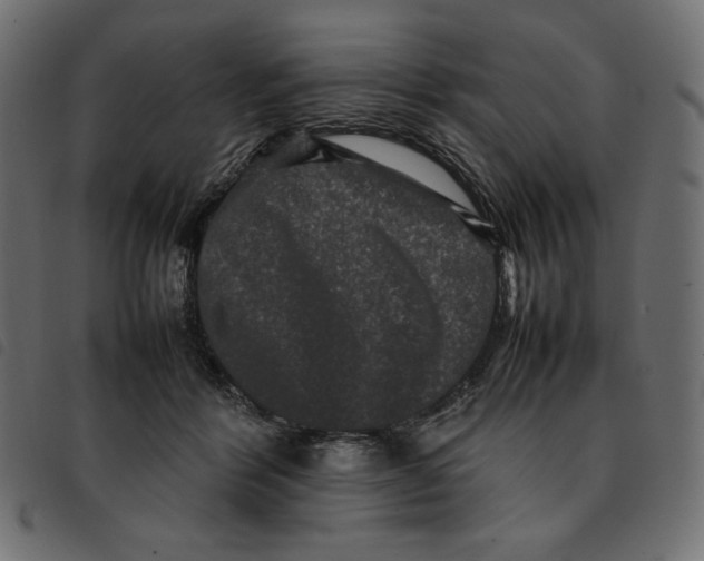 X0000092250412200710121303
