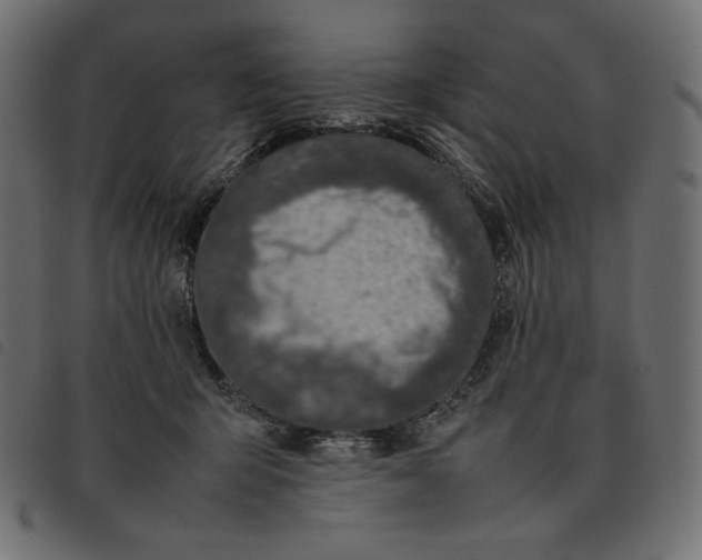X0000092250415200710121303