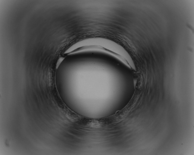 X0000092250416200710121303
