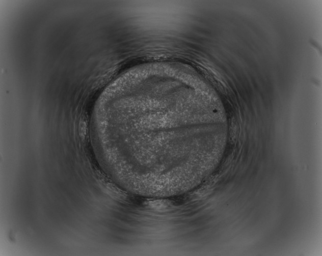 X0000092250417200710121303