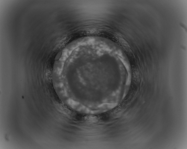 X0000092250419200710121303