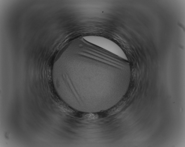 X0000092250421200710121303