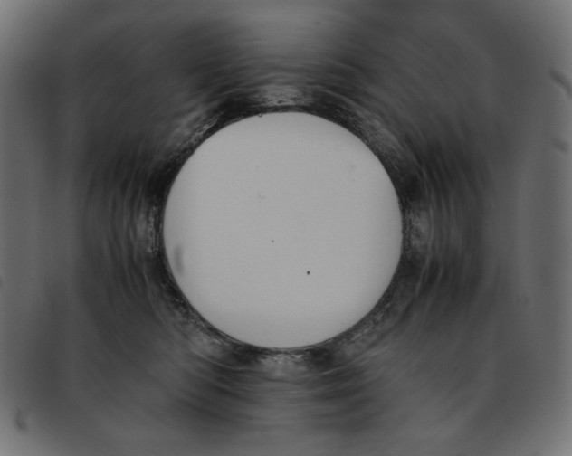 X0000092250422200710121303