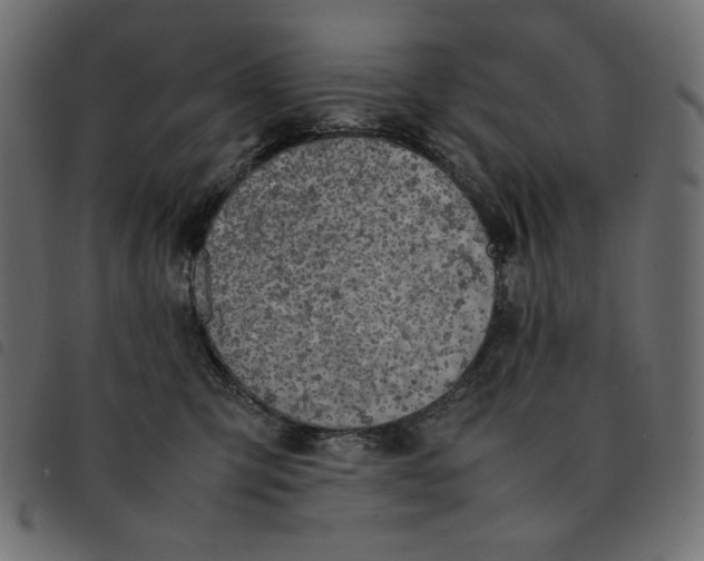 X0000092250423200710121303