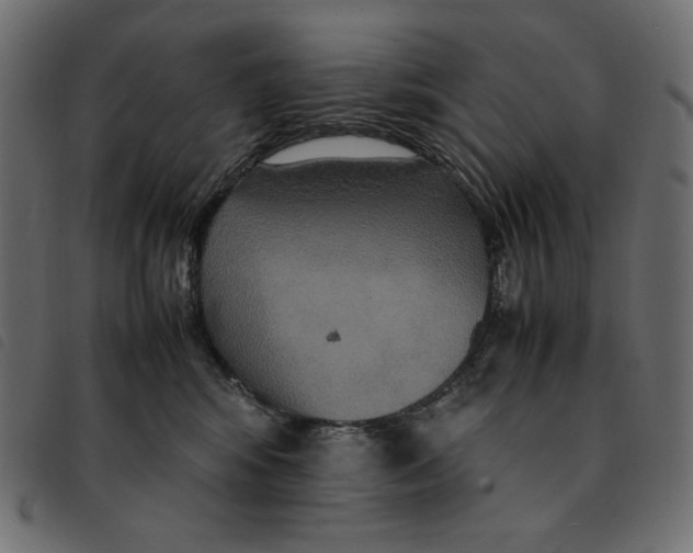 X0000092250424200710121303