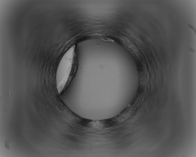 X0000092250425200710121303