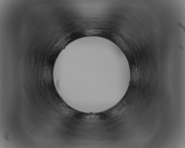 X0000092250426200710121303