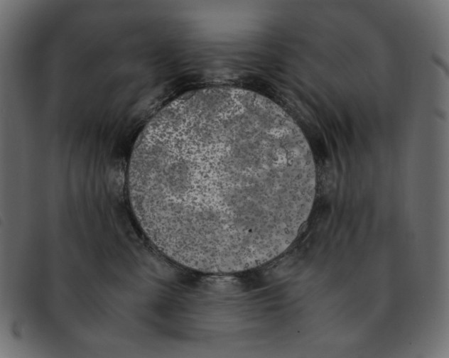X0000092250427200710121303