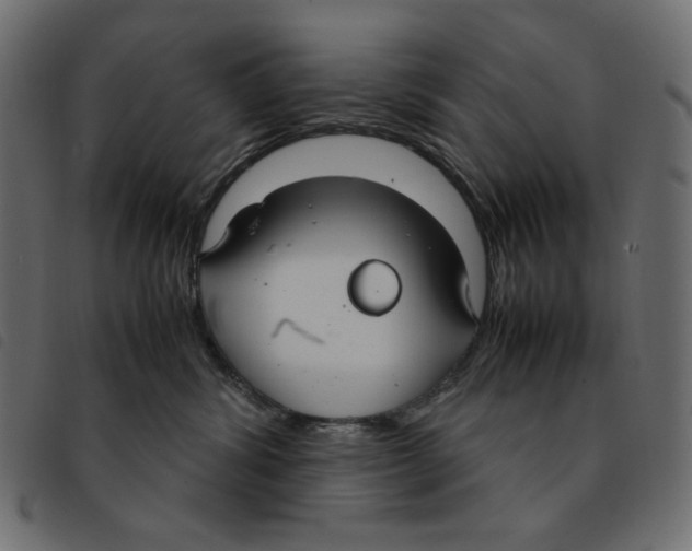 X0000092250428200710121303