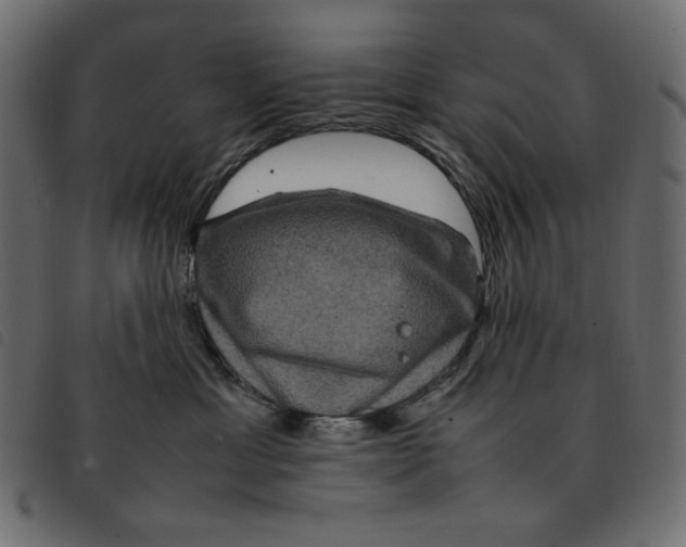 X0000092250429200710121303