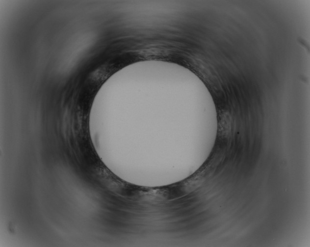 X0000092250430200710121303