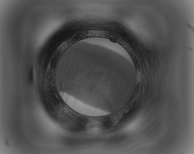 X0000092250431200710121303