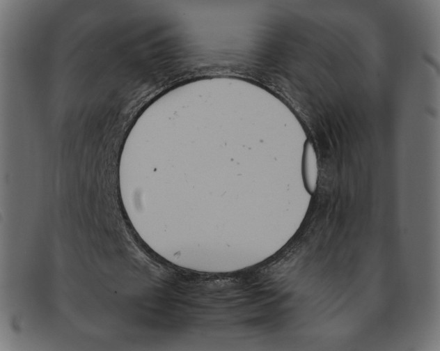 X0000092250433200710121302