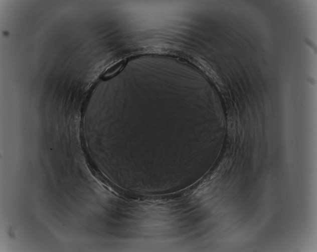 X0000092250434200710121302