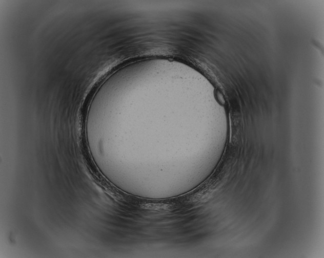 X0000092250435200710121302