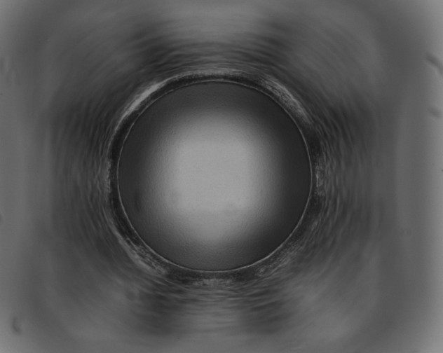 X0000092250436200710121302