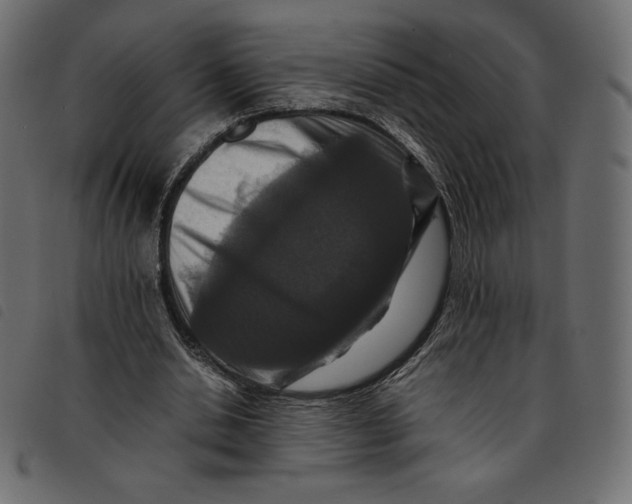 X0000092250438200710121302