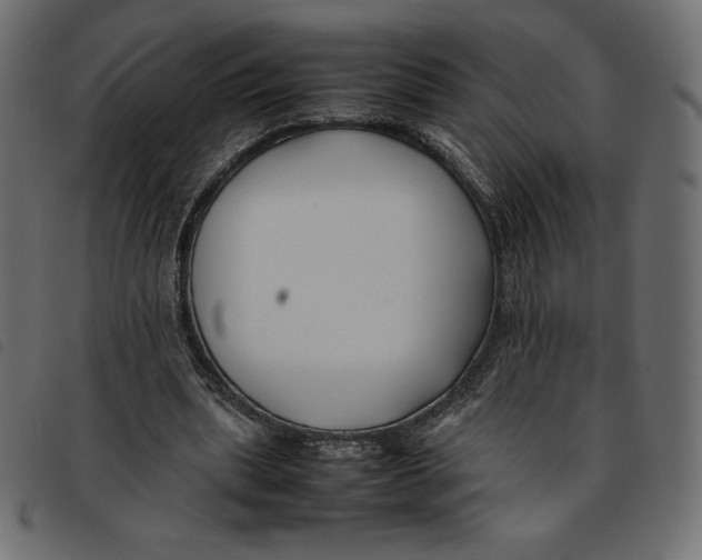 X0000092250439200710121302