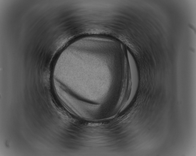 X0000092250440200710121302