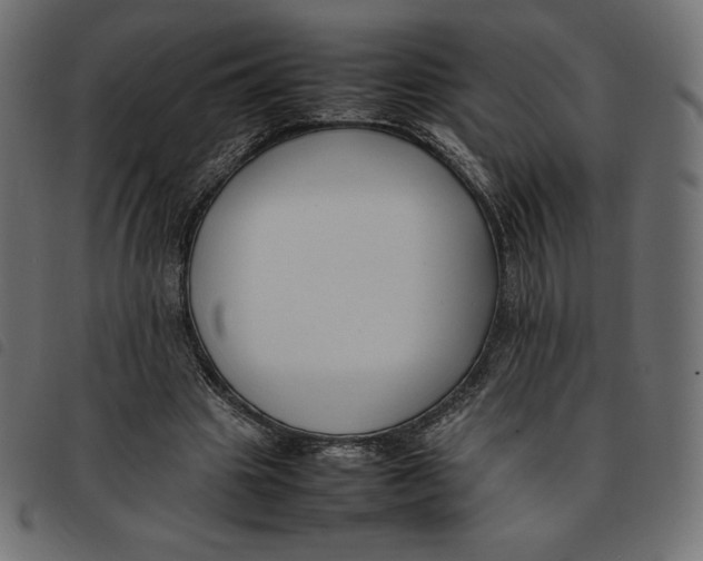 X0000092250441200710121302