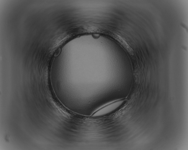 X0000092250442200710121302