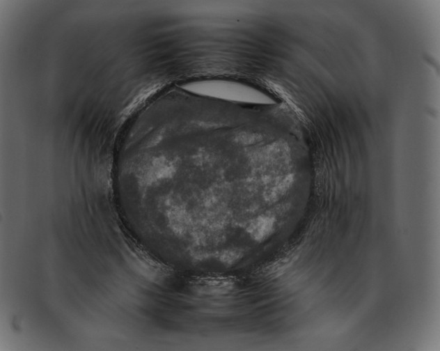X0000092250443200710121302
