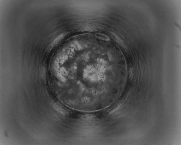 X0000092250444200710121302