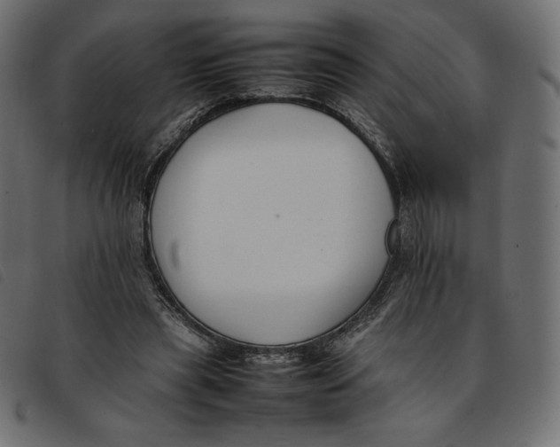 X0000092250445200710121302