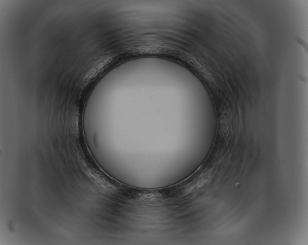 X0000092250446200710121302