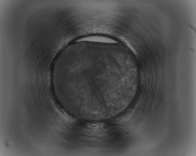 X0000092250447200710121302