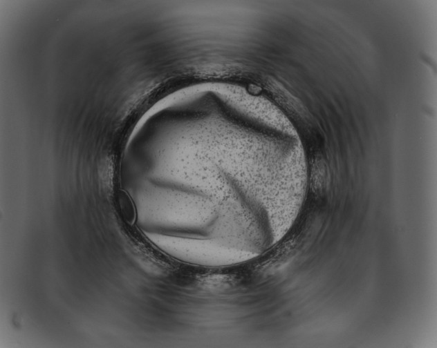 X0000092250448200710121302